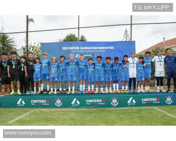 全球足球盛宴中的旋律FIFA音乐为你带来激情与梦想的交响曲